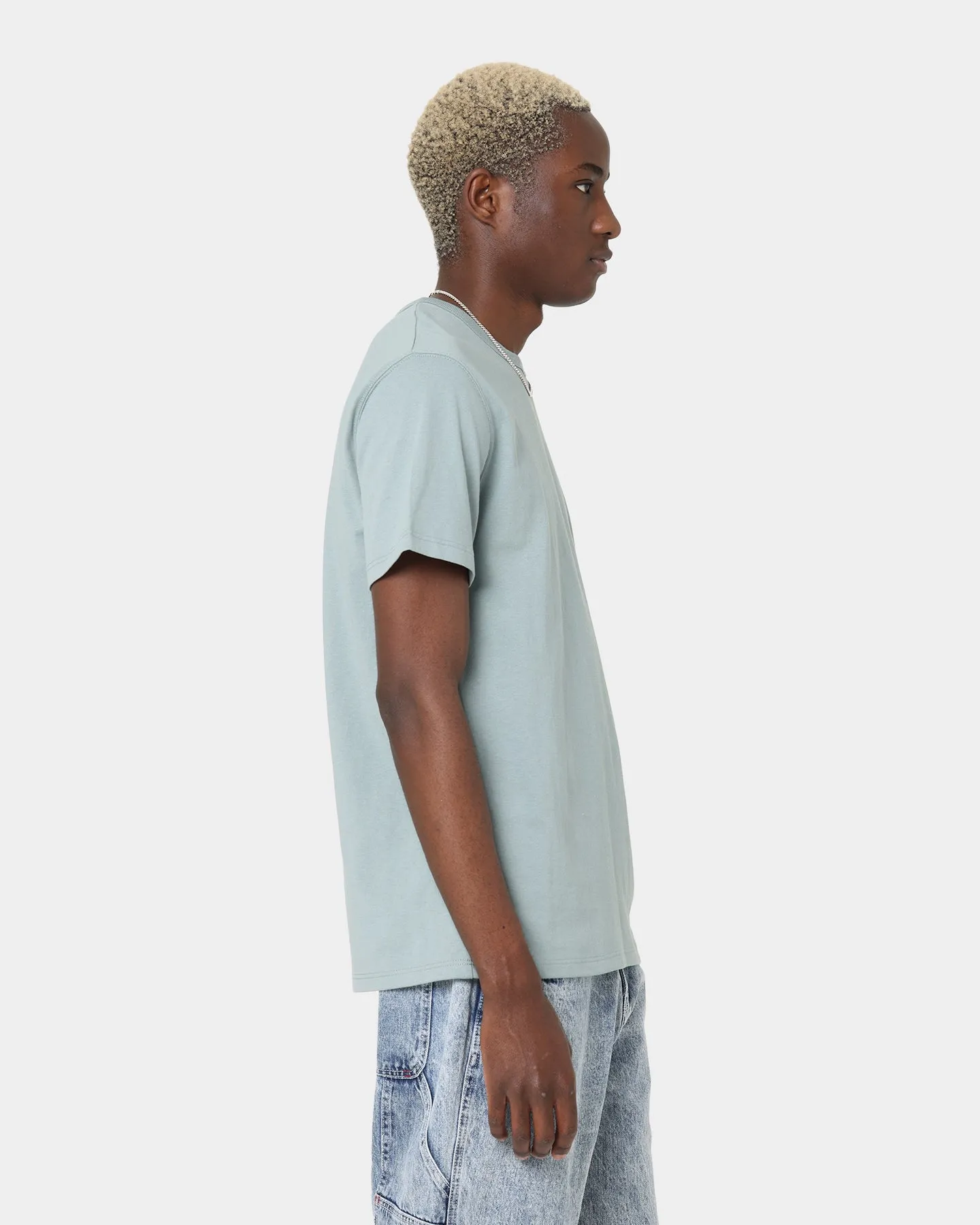 Champion Heritage C Logo T-Shirt Sage Shimmer Green