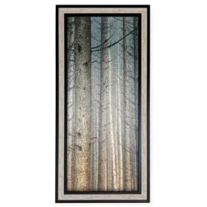 Forest Dreaming I