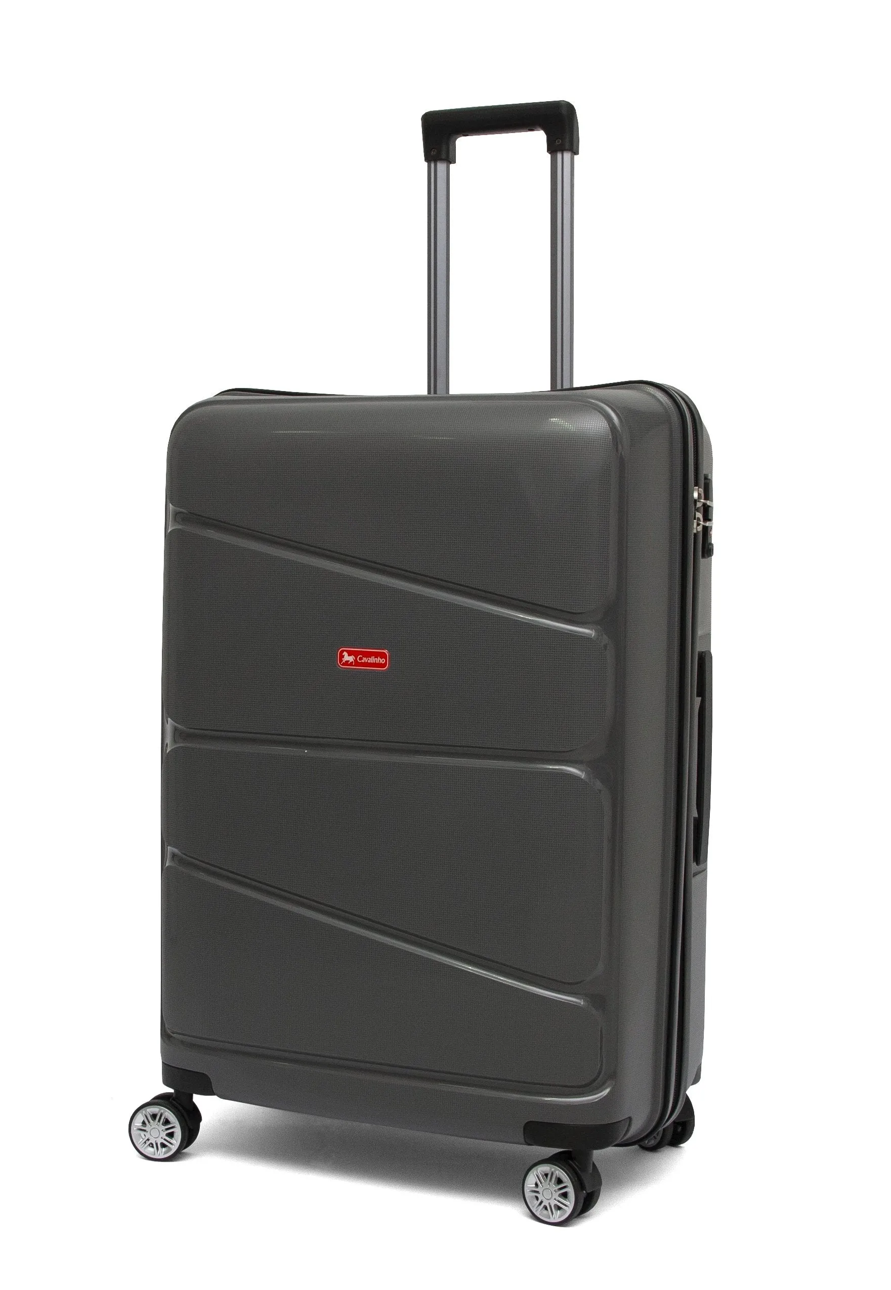 Grey Luggage